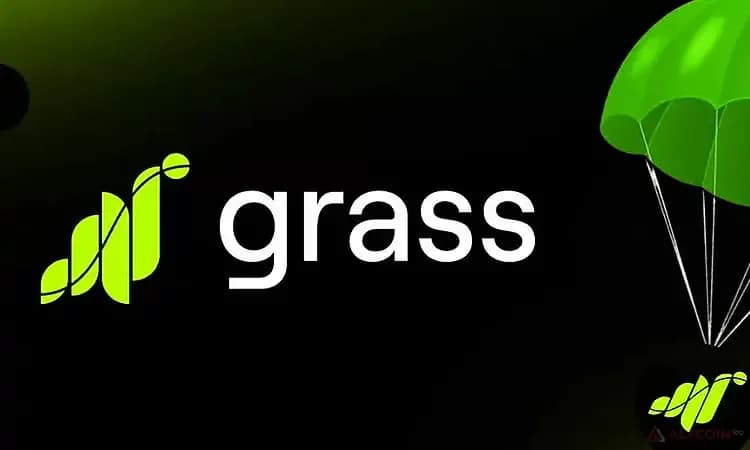 Инструкция-по-Grass.jpg.webp
