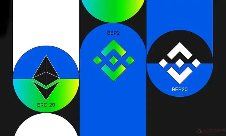 Сравнение-BEP20-от-BEP2-и-ERC20.jpg.webp