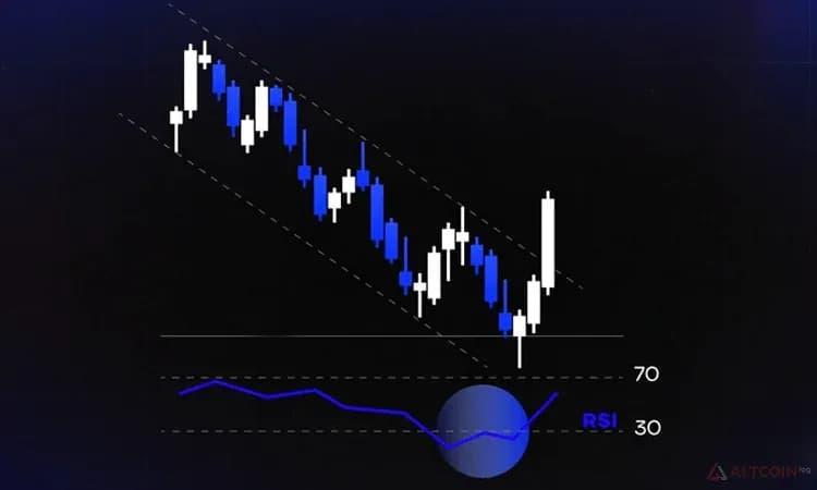 Что показывает RSI на графике