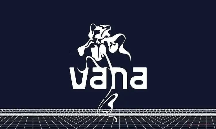 криптовалюта-Vana-обзор.jpg.webp