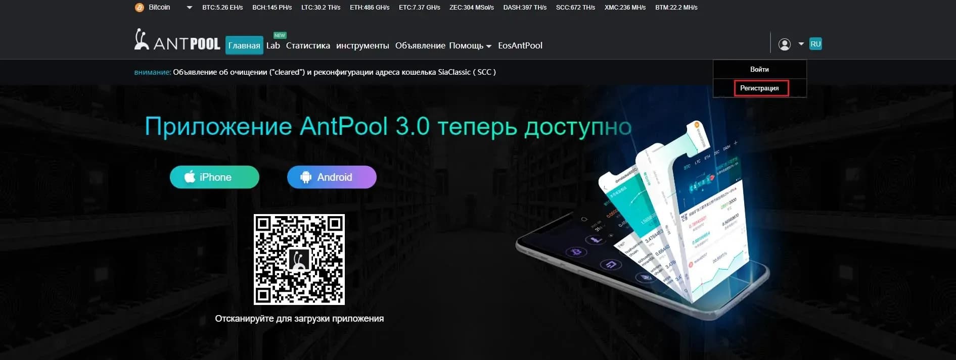 12312323.jpg.webp