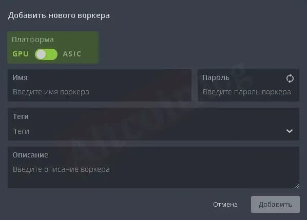 13.jpg.webp
