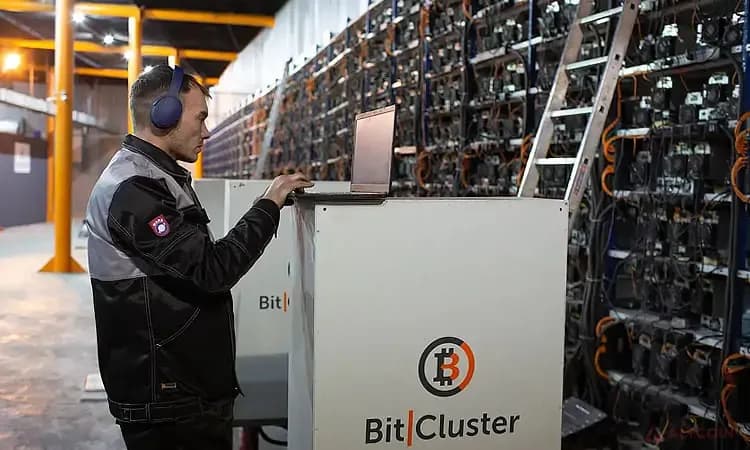 BitCluster-майнинг-компания.jpg.webp