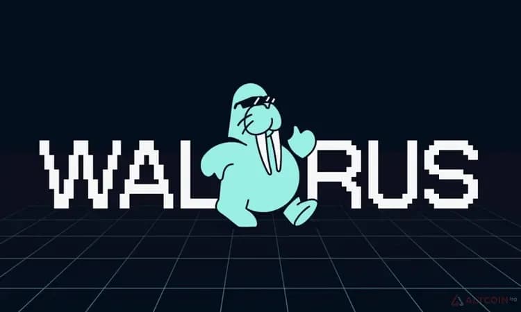 Walrus-на-базе-Sui-1.png.webp