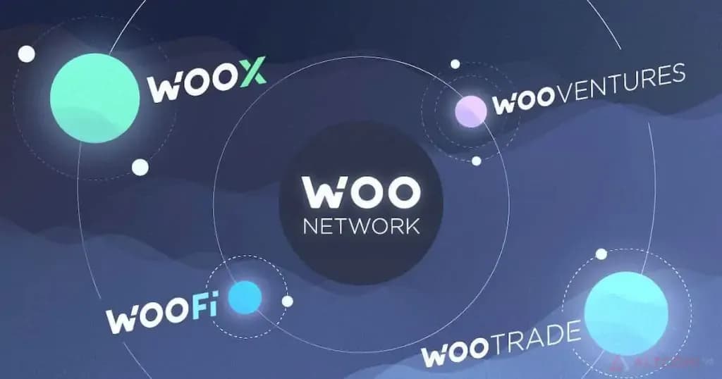 Woo-Network.jpg.webp