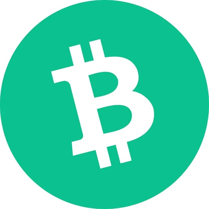bitcoin-cash-bch-logo.png.webp