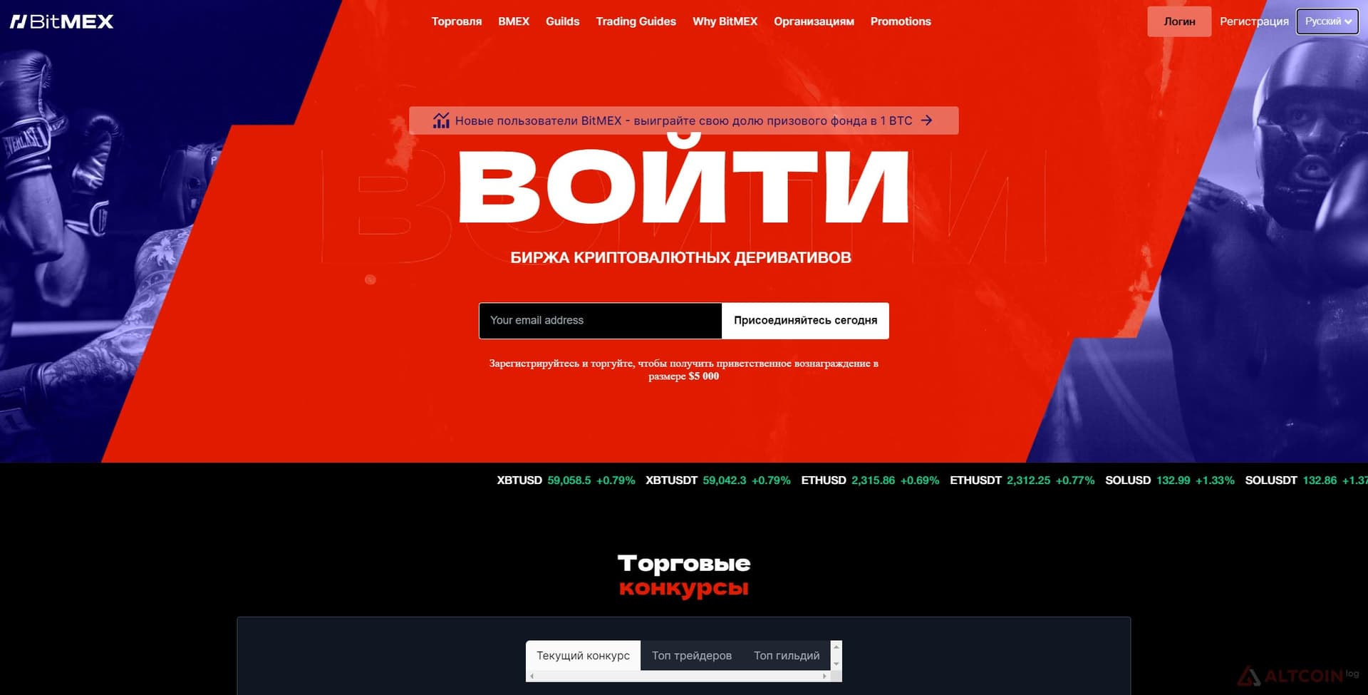 bitmex-bircha-1024x520.jpg.webp