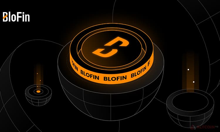 Blofin exchange visual overview image.