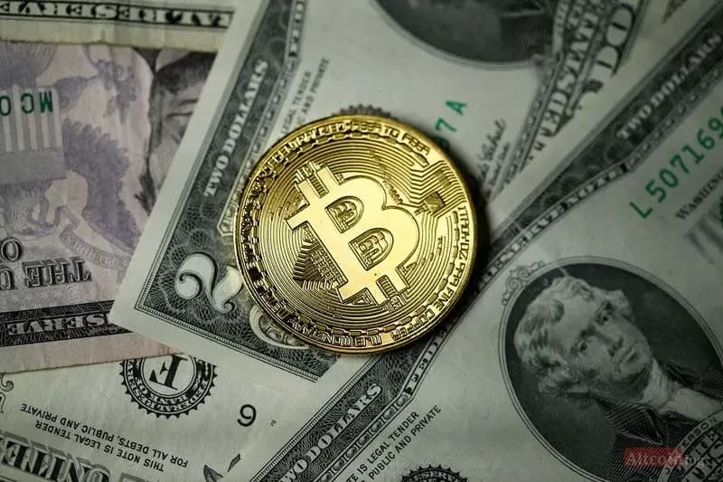 btc-contracti.jpg.webp