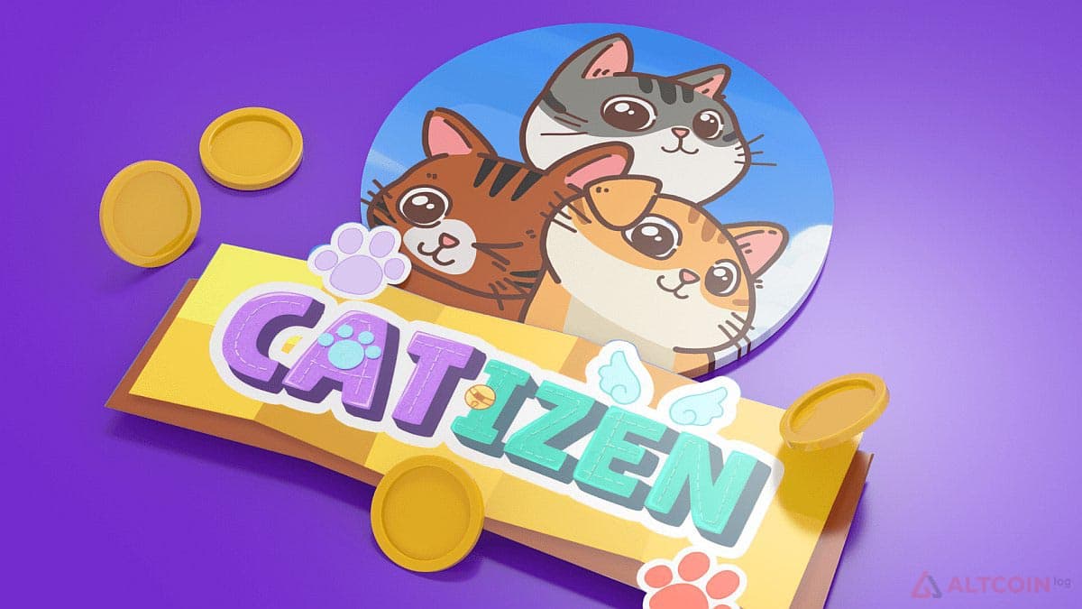 catizen-1024x576.jpg.webp