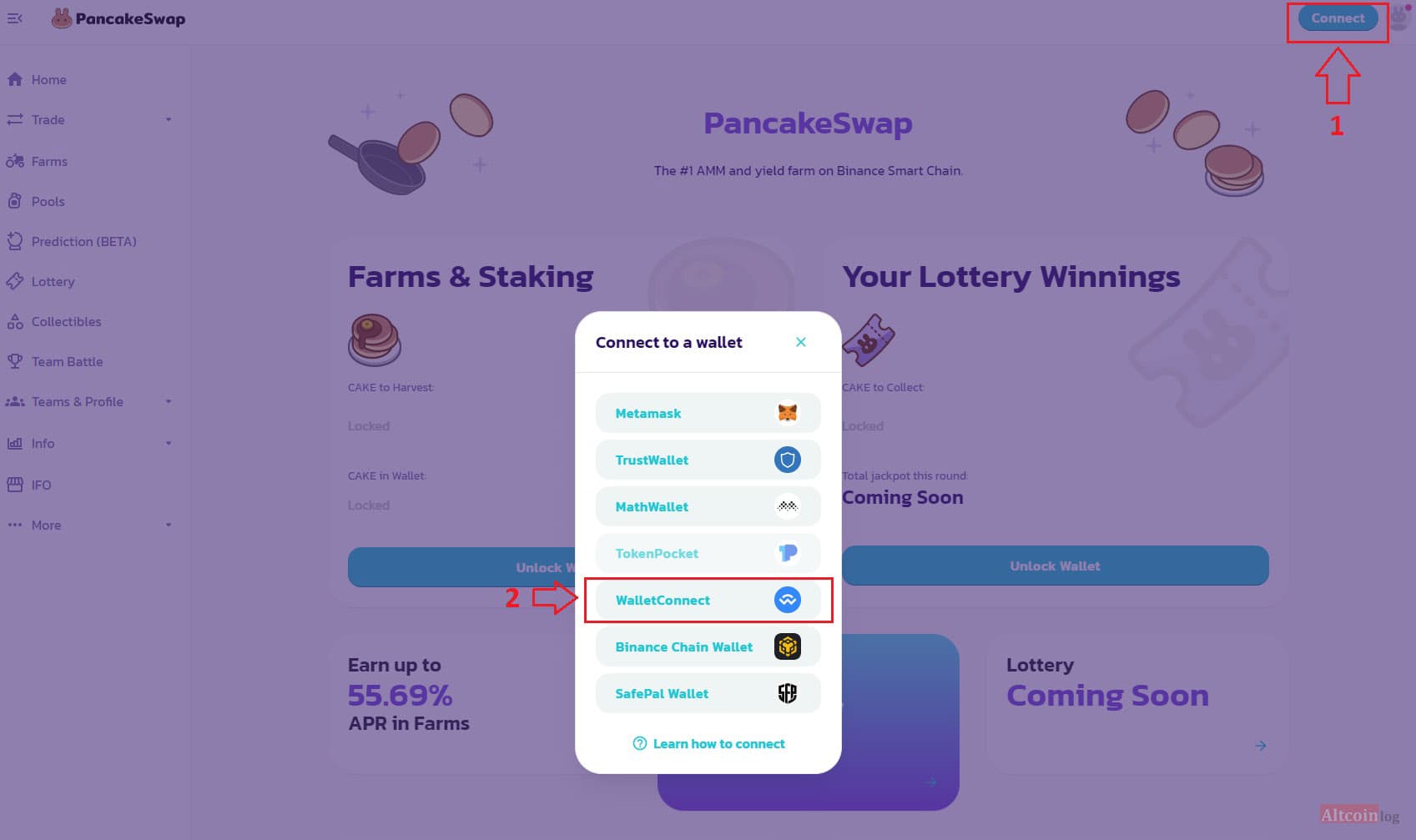 connect-site-pance-1024x608.jpg.webp