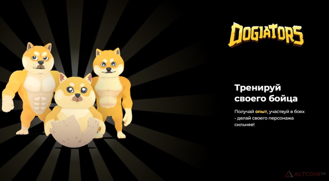 dogiators-1-1024x563.jpg.webp