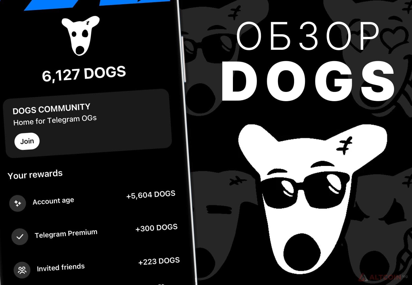 dogs-telegram-1024x709.jpg.webp