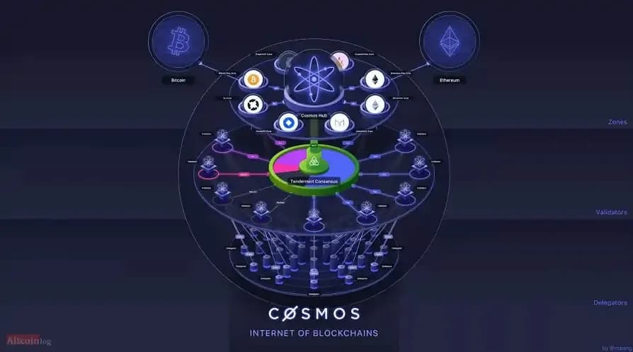 ecosistim-cosmos.jpg.webp
