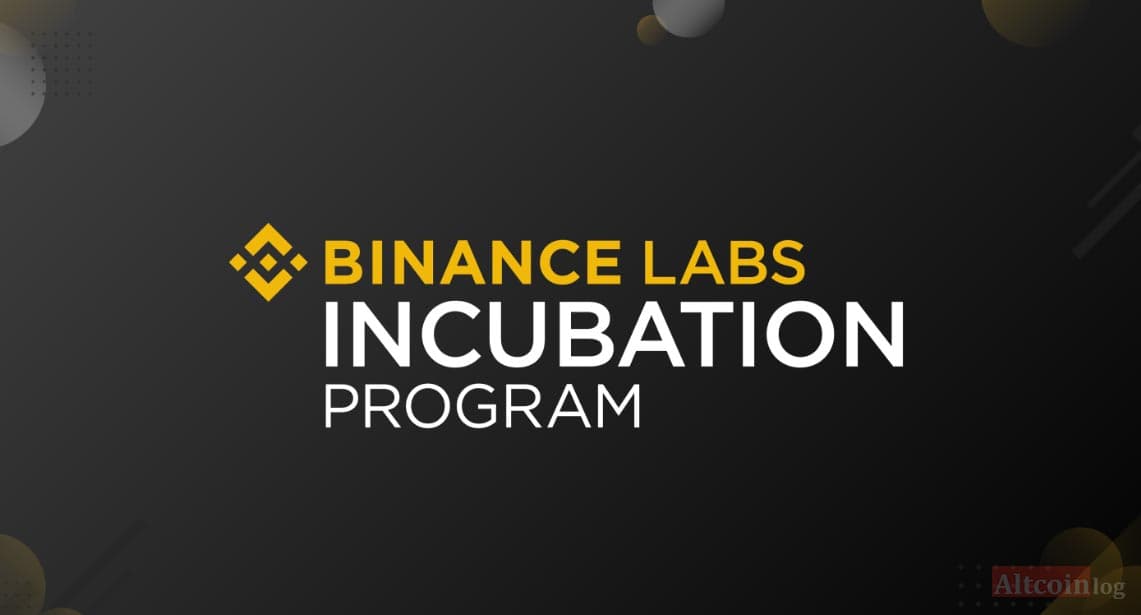 incybator-program-1024x552.jpg.webp