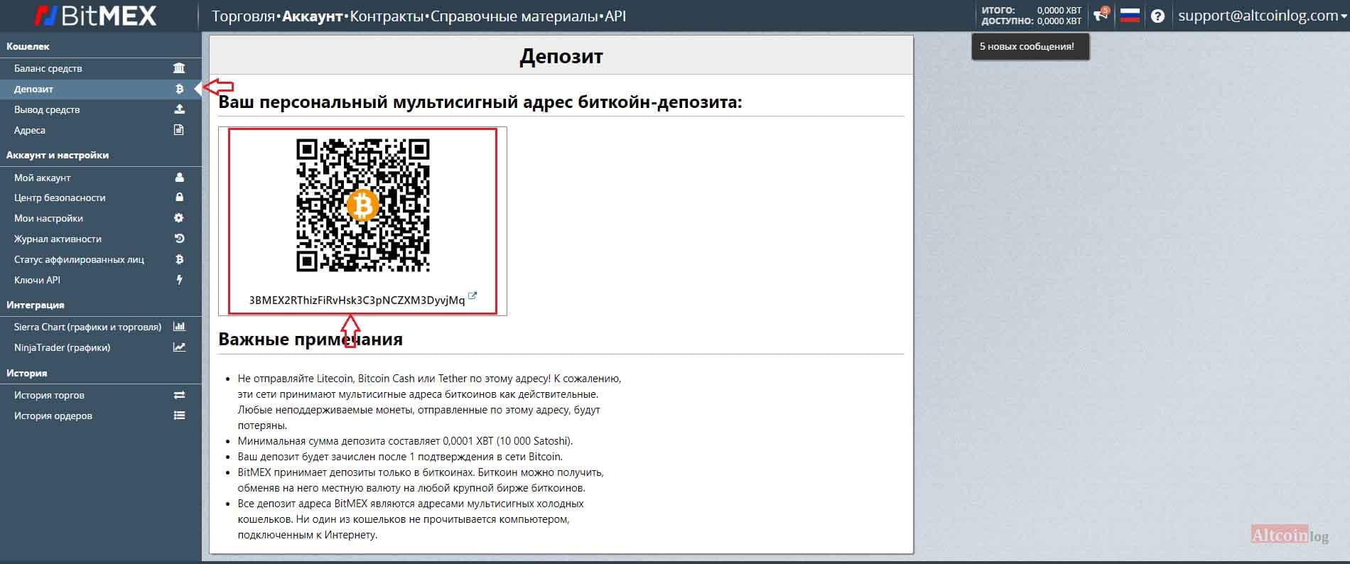 koshelek-1024x520.jpg.webp