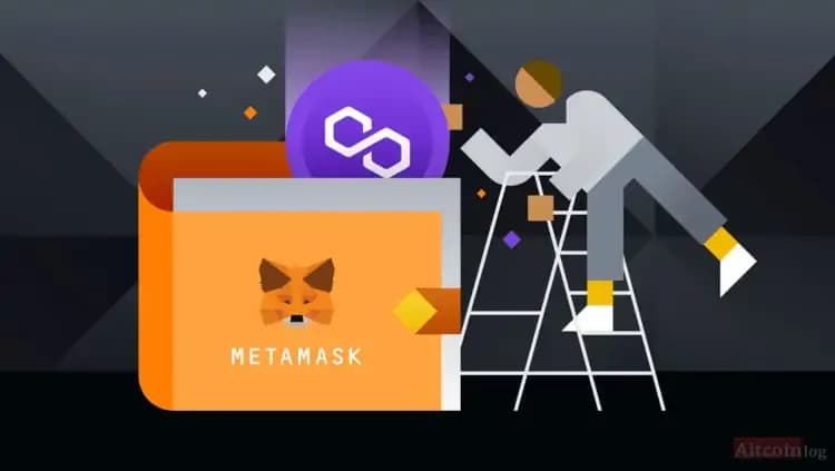 metamask-polygon.jpg.webp