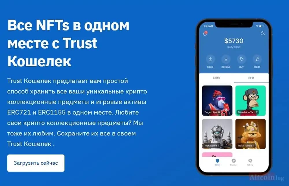 nft-trust.jpg.webp