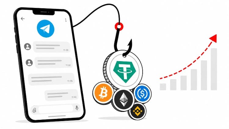 Написал незнакомцу в Telegram — потерял все сбережения: как работает схема pig butchering