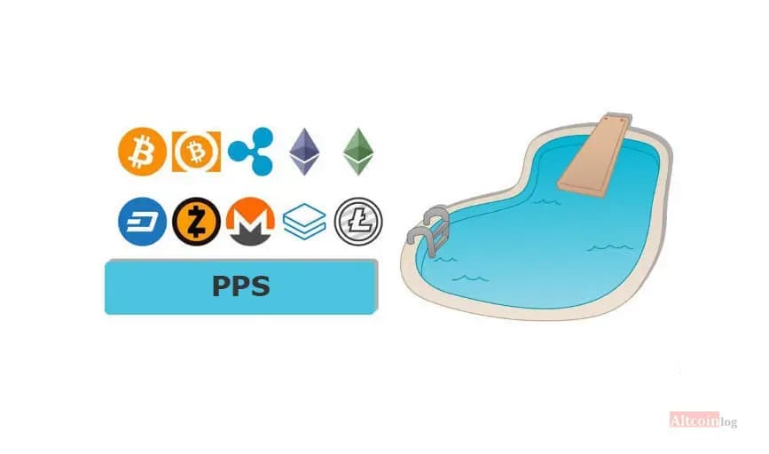 pps.jpg.webp