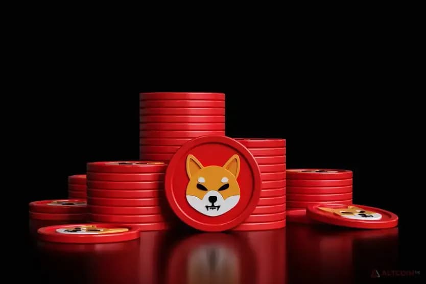 shib-coins.jpg.webp