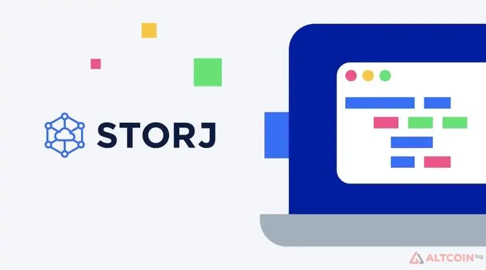 storg-coin-1.jpg.webp