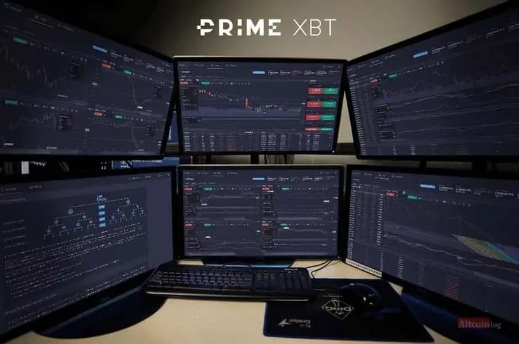 tradin-primxbt.jpg.webp