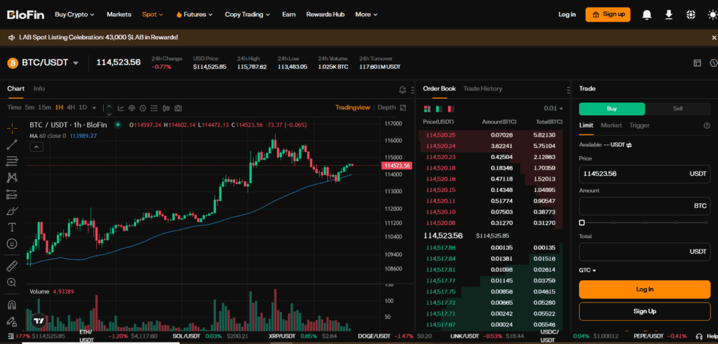 Blofin Spot trading dashboard screenshot.