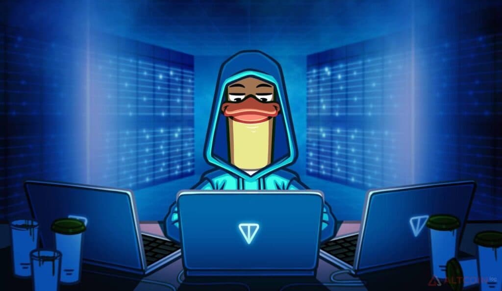 TON staking roles explained