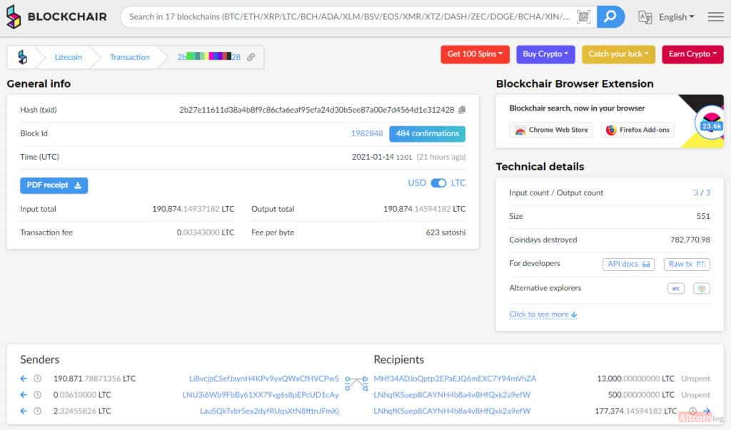 Blockchair interface for viewing Litecoin transaction details.