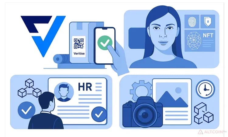 Применение VTS Veritise в бизнесе и HR-процессах