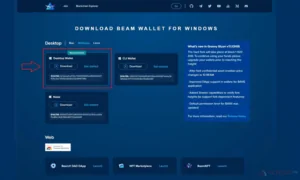 Загружаем и устанавливаем локальный кошелек BEAM